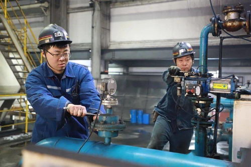 郭屯煤礦多措并舉提升煤質含金量，選煤設備助力增效